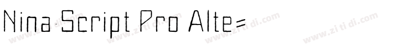 Nina Script Pro Alte字体转换